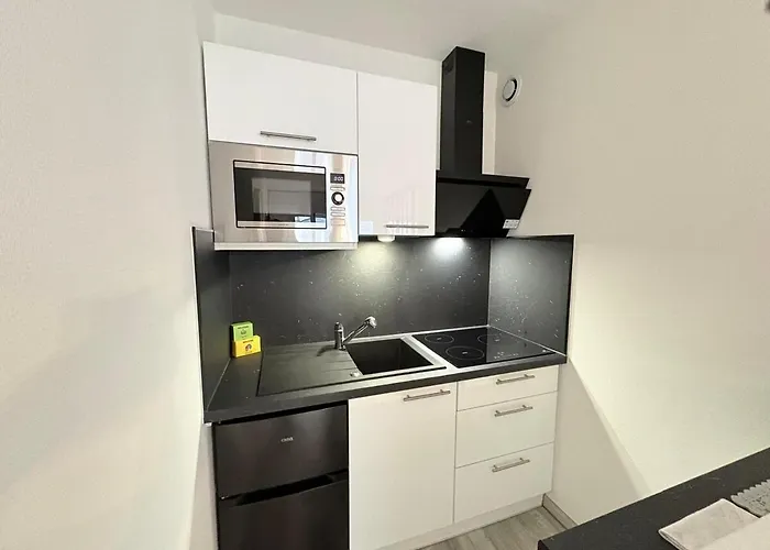 Magnifique Hyper Centre Lambert Mulhouse