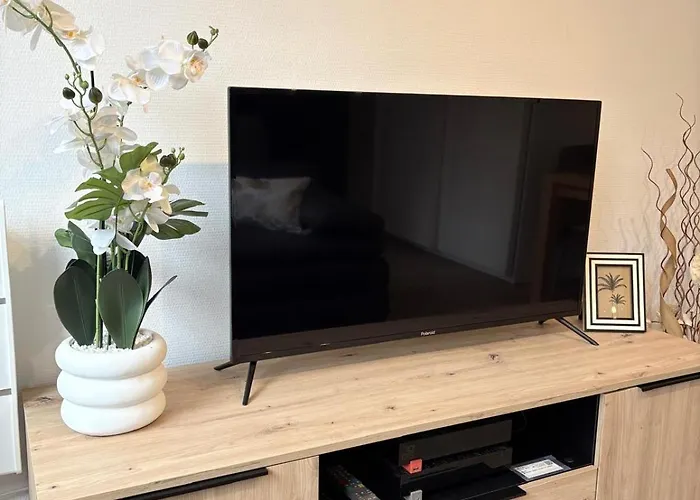 Magnifique Hyper Centre Lambert Mulhouse