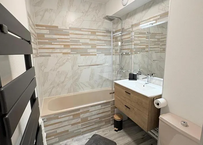 Appartamento Magnifique Hyper Centre Lambert Mulhouse