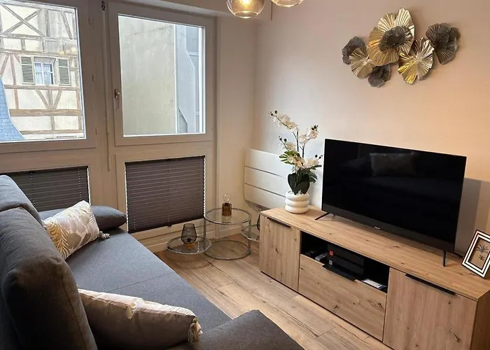 Magnifique Hyper Centre Lambert Mulhouse