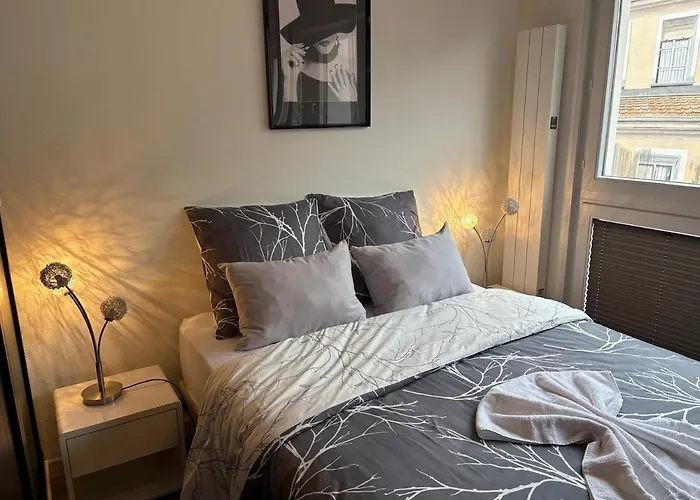 Magnifique Hyper Centre Lambert * Mulhouse